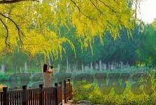 瓜大学足球比分-瓜大学足球风云，比分背后的热血与梦想